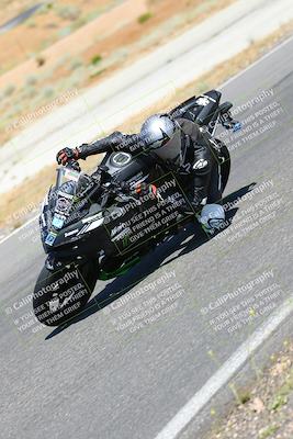 media/Jun-25-2023-2WTD (Sun) [[bf8bb0cd0b]]/C Group/session 2 turn 10/